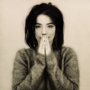This is the cover art for Debut by the artist Björk. The cover art copyright is believed to belong to the label, One Little Indian, or the graphic artist(s).
