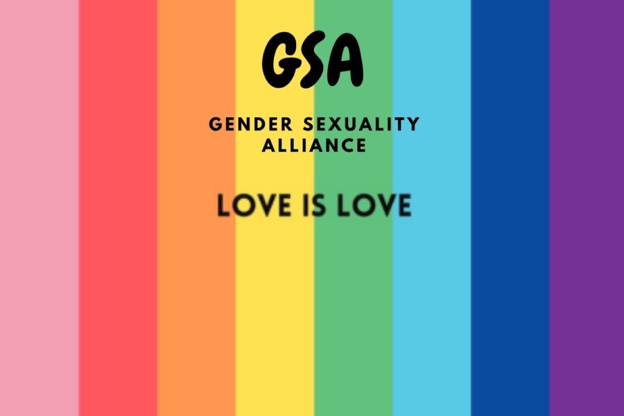 Protecting and Promoting the LGBTQIA+ Community