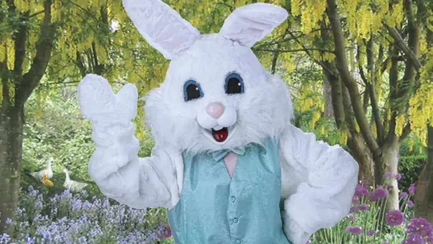 Dockery, R. (2021, April 2). Free easter bunny photos in League City. CW39 Houston. Retrieved June 9, 2022, from https://cw39.com/cw39/free-easter-bunny-photos-in-league-city/  